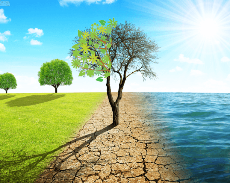 Climate