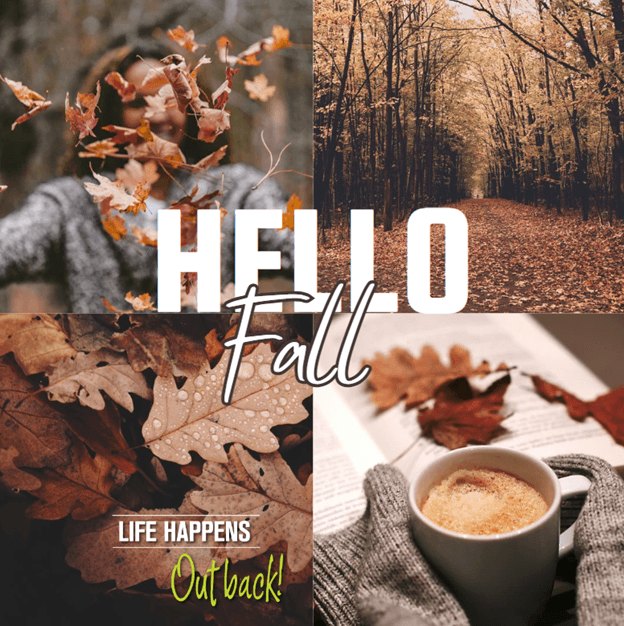 HelloFall