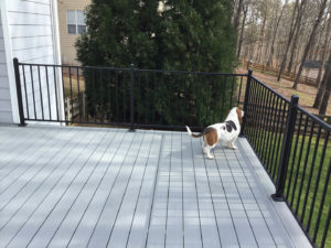 A dog on a new composite deck