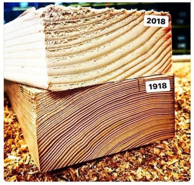 WHAT'S UP WITH LUMBER? Outback Deck